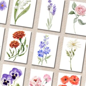 STAP- Blank Floral cards