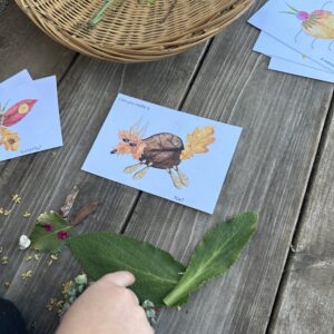 STAP- Nature Play with loose Parts