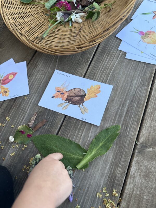 STAP- Nature Play with loose Parts