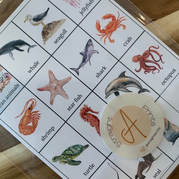 STAP - Ocean Animal Cards