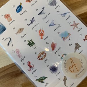 STAP - Ocean Alphabet Cards