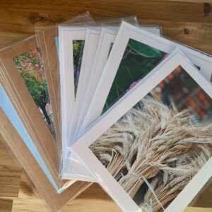 Genie Photography - Cards